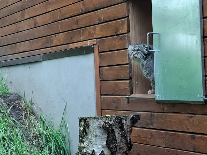 A photograph of Manuel in Gdansk Zoo