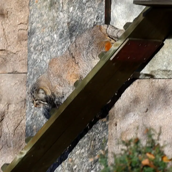 A photograph of Timofey in Moscow zoo