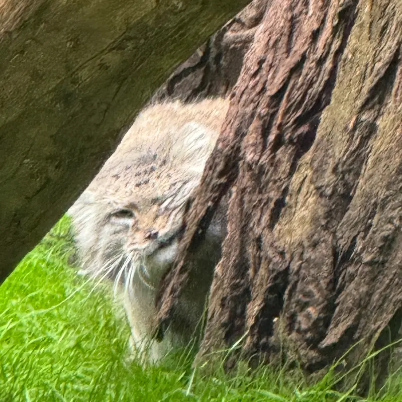 A photograph of Jessie in Warsaw Zoo