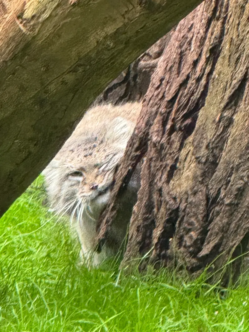A photograph of Jessie in Warsaw Zoo