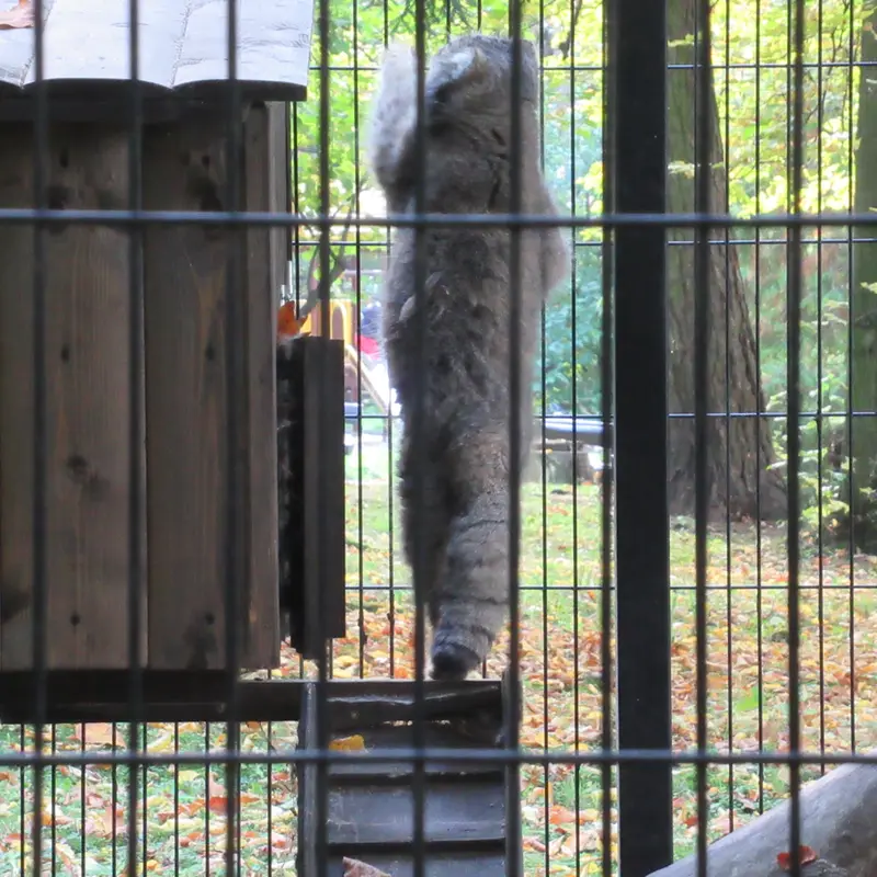 A photograph of Manuel in Kraków Zoo