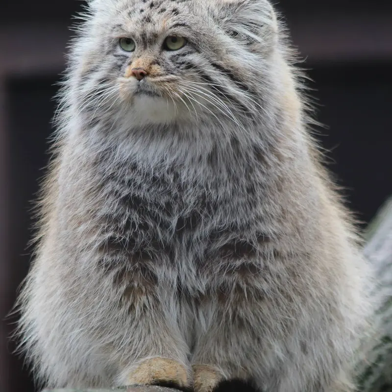 A photograph of Oxana in Ostrava Zoo