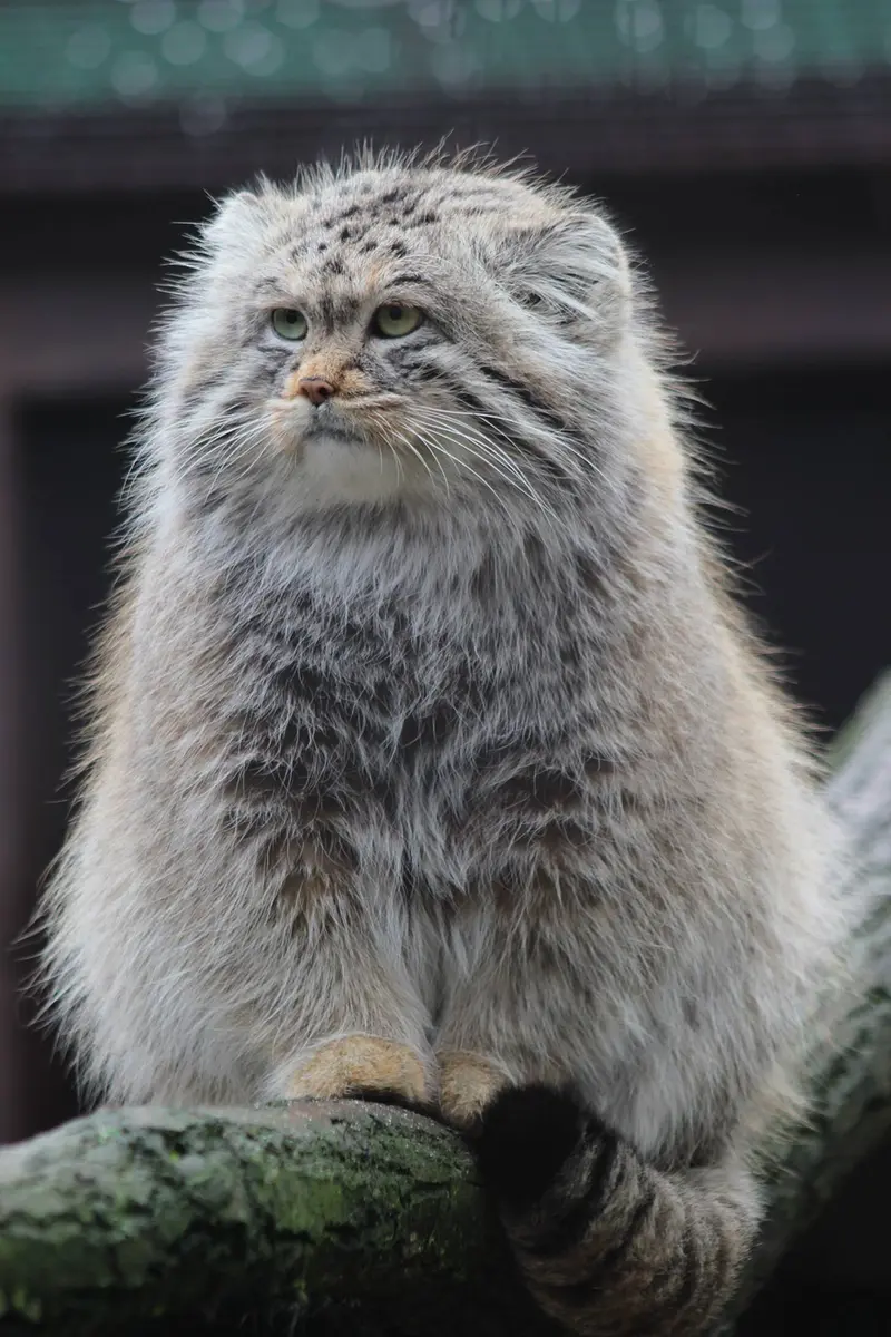A photograph of Oxana in Ostrava Zoo