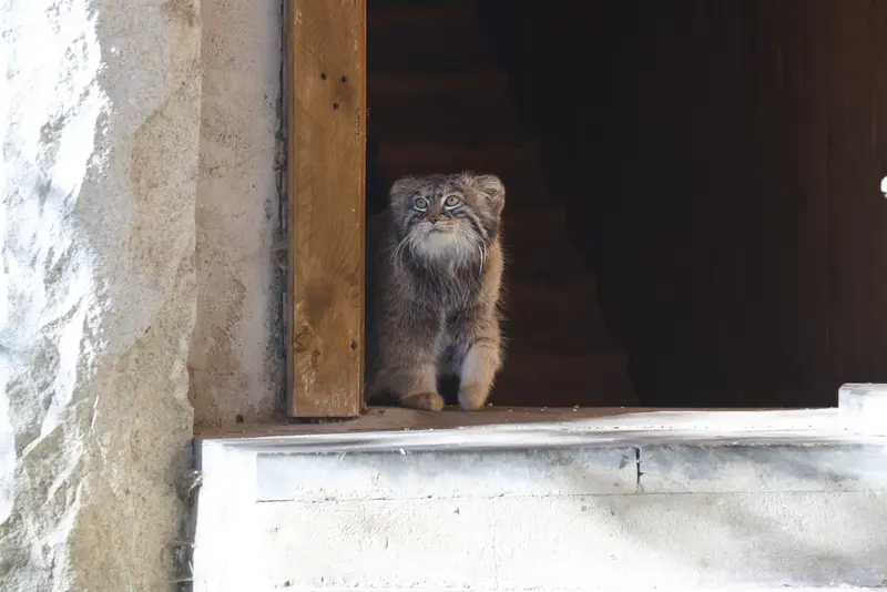 A photograph of Timofey in Moscow zoo