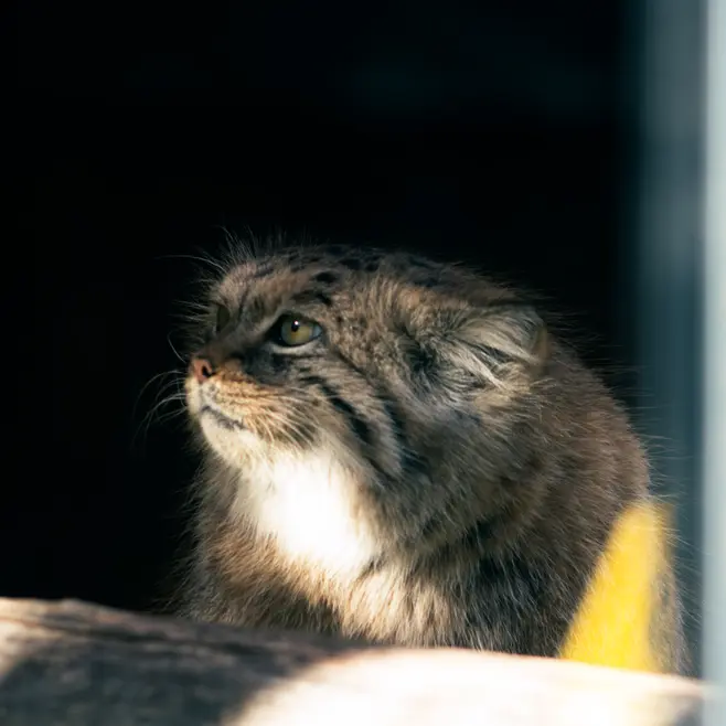 A photograph of Melissa in Lithuanian Zoo