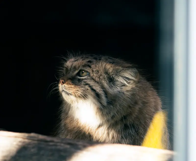A photograph of Melissa in Lithuanian Zoo