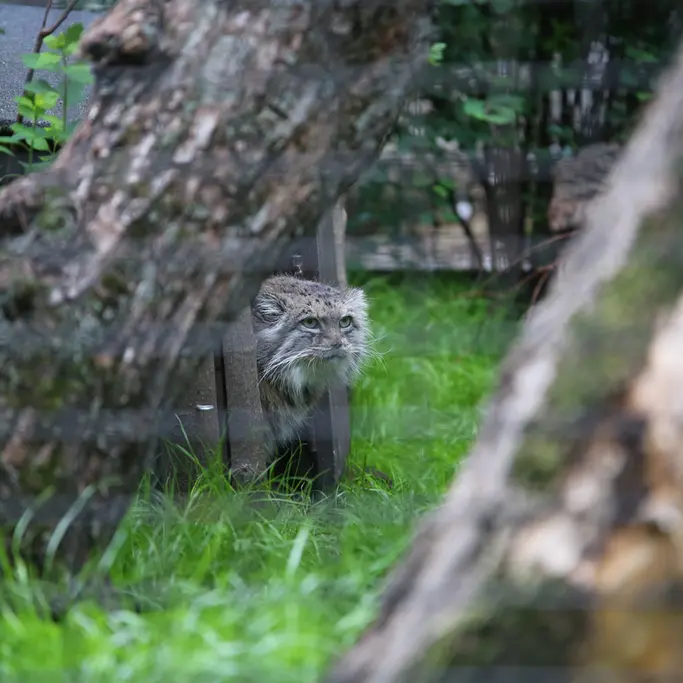 A photograph of Jessie in Warsaw Zoo
