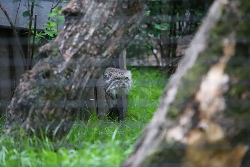 A photograph of Jessie in Warsaw Zoo