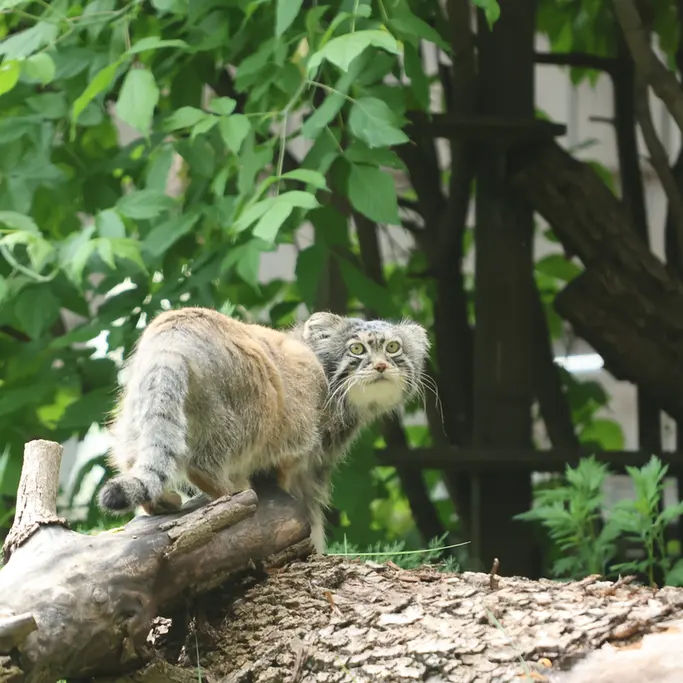 A photograph of Timofey in Moscow zoo
