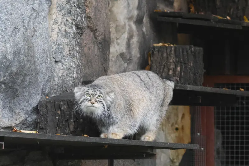 A photograph of Timofey in Moscow zoo