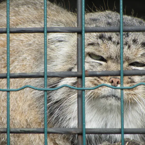 A photograph of Jonathan in Magdeburg Zoo