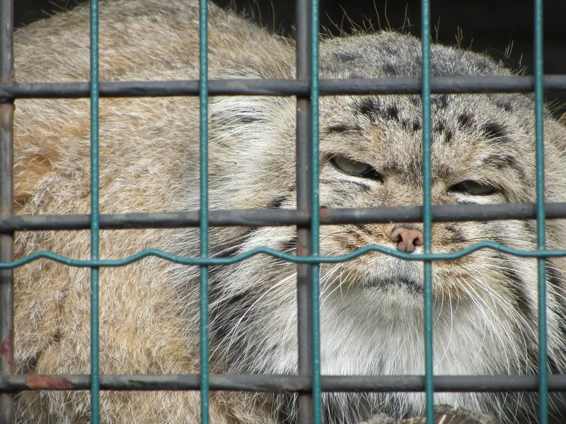 A photograph of Jonathan in Magdeburg Zoo
