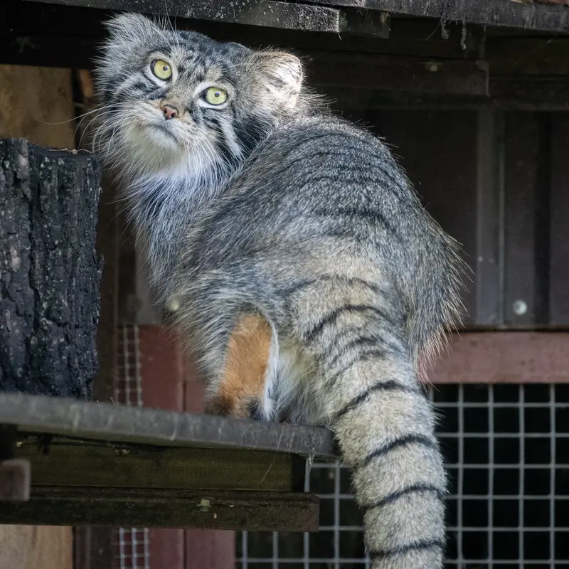 A photograph of Timofey in Moscow zoo