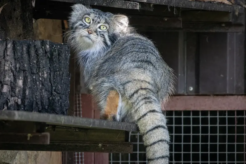 A photograph of Timofey in Moscow zoo