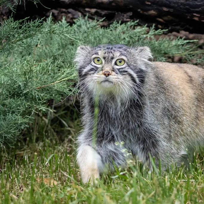 A photograph of Timofey in Moscow zoo