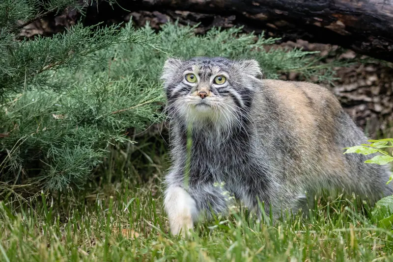A photograph of Timofey in Moscow zoo