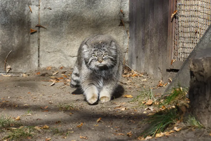 A photograph of Timofey in Moscow zoo