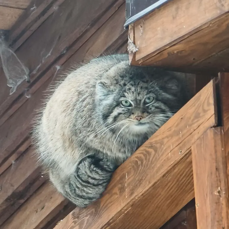 A photograph of Ula in Gdansk Zoo