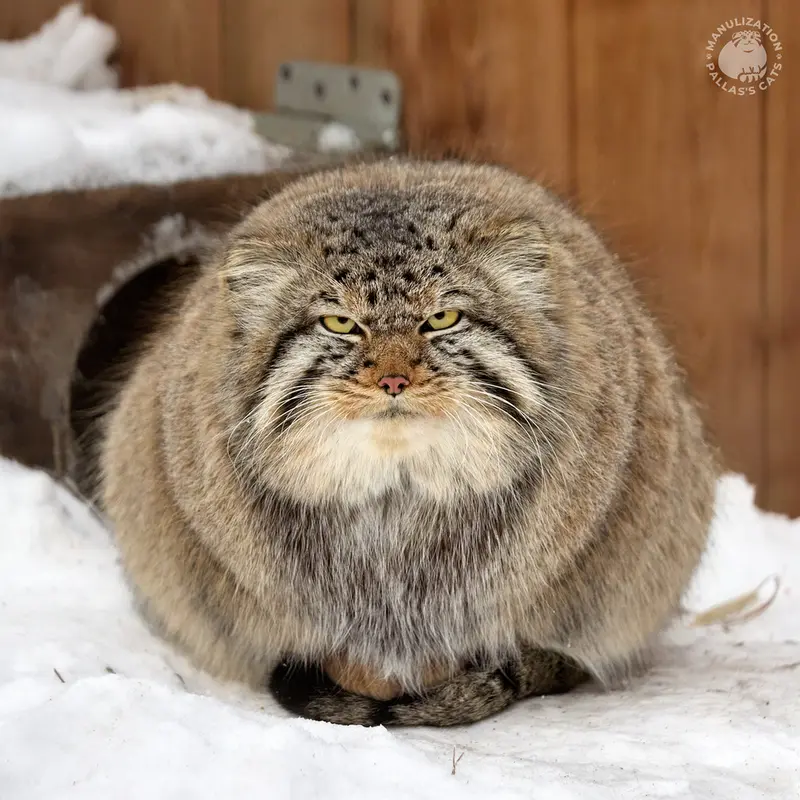 A photograph of Kim in Novosibirsk Zoo