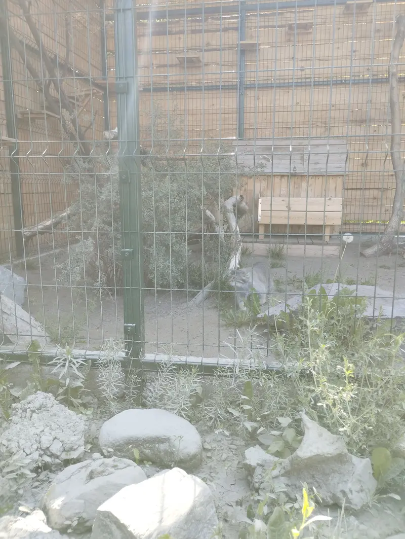 A photograph of Pepe in Barnaul zoo “Lesnaya skazka”