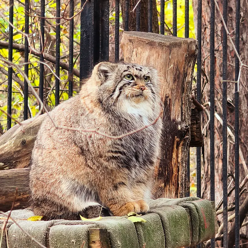 A photograph of Anya in Novosibirsk Zoo