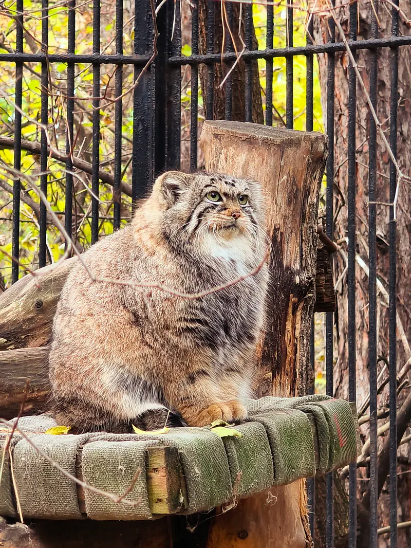 A photograph of Anya in Novosibirsk Zoo
