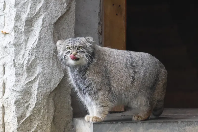 A photograph of Timofey in Moscow zoo