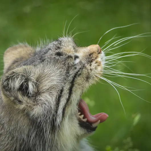 A photograph of Agneta in Parken Zoo
