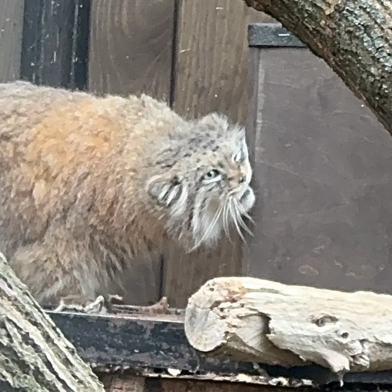 A photograph of Jessie in Warsaw Zoo