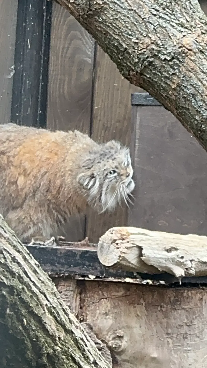A photograph of Jessie in Warsaw Zoo