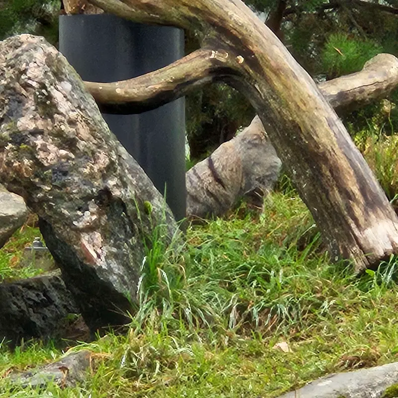 A photograph of Saimi in Korkeasaari Zoo