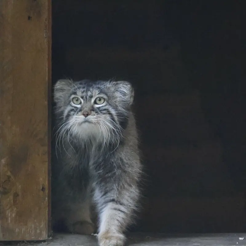 A photograph of Timofey in Moscow zoo