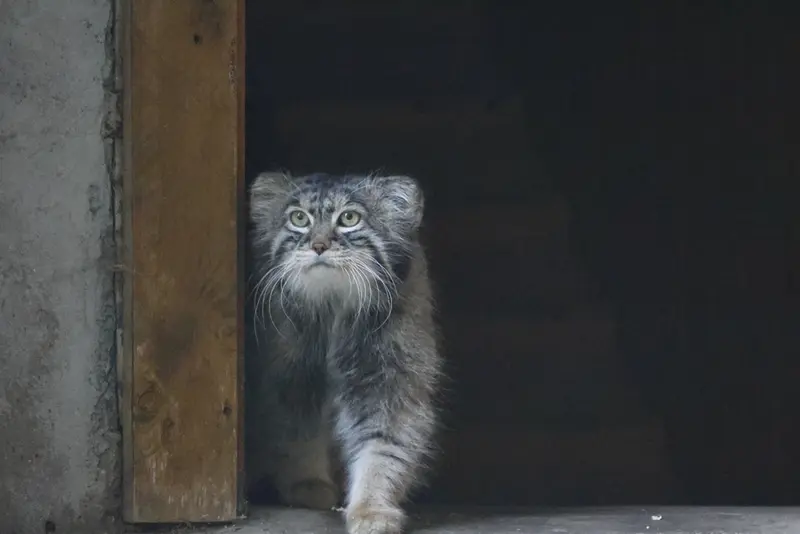A photograph of Timofey in Moscow zoo