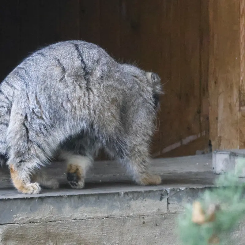 A photograph of Timofey in Moscow zoo