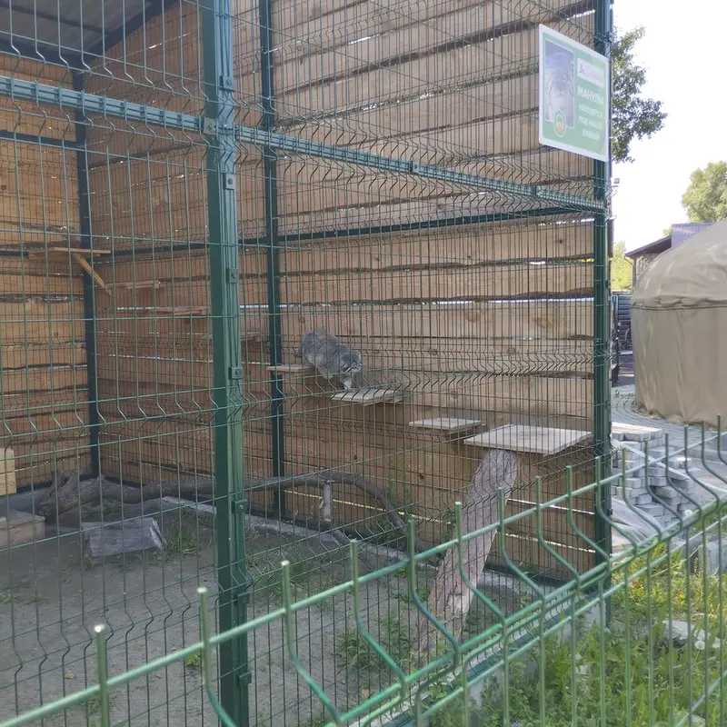 A photograph of Chip in Barnaul zoo “Lesnaya skazka”