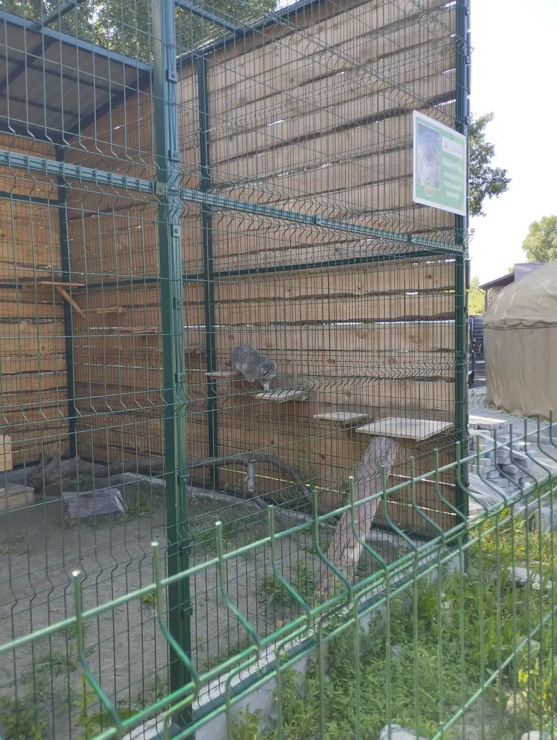 A photograph of Chip in Barnaul zoo “Lesnaya skazka”