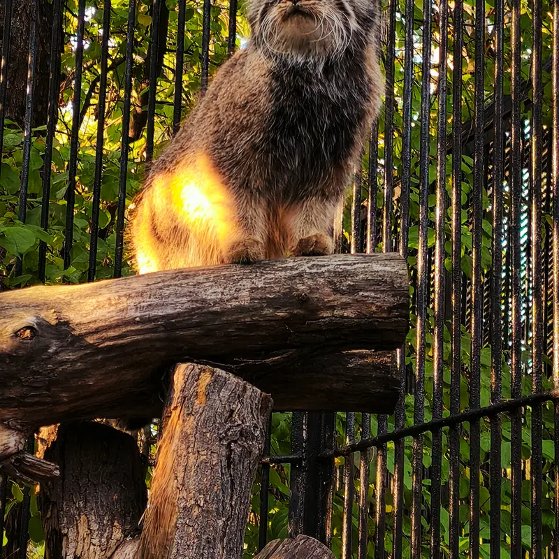 A photograph of Gabi in Novosibirsk Zoo
