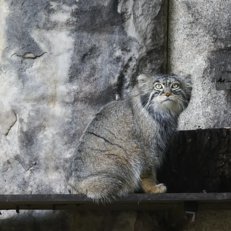 A photograph of Timofey in Moscow zoo