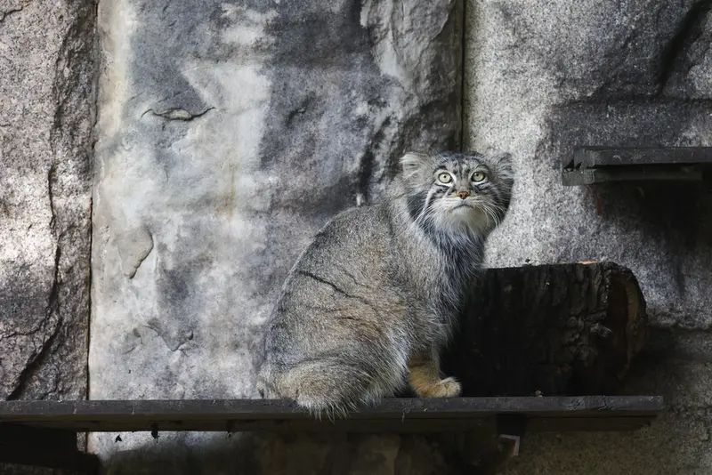 A photograph of Timofey in Moscow zoo