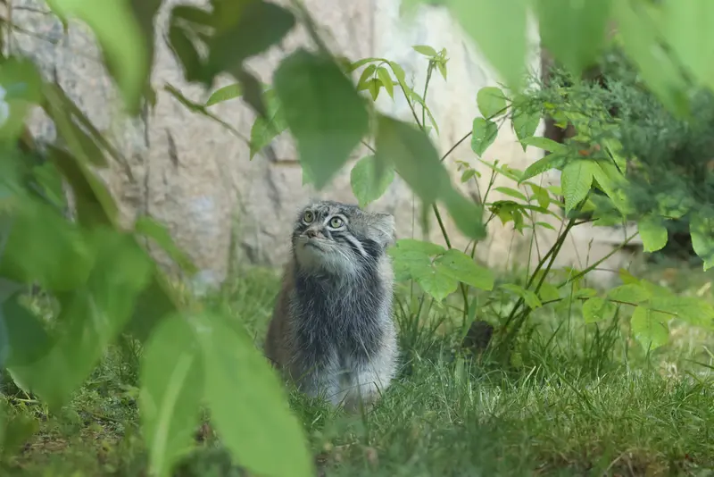 A photograph of Timofey in Moscow zoo