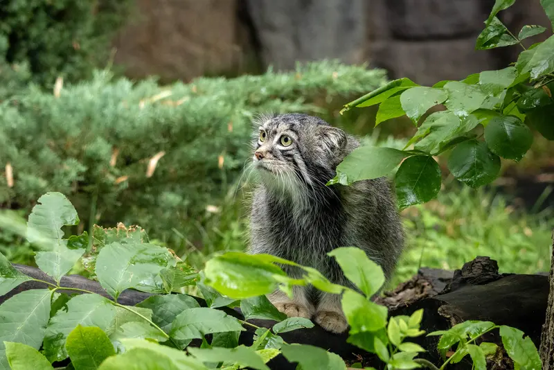 A photograph of Timofey in Moscow zoo