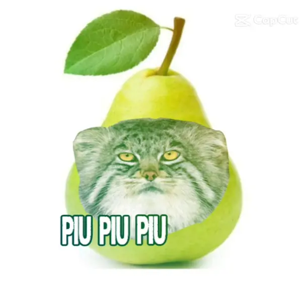 Piu piu 😛