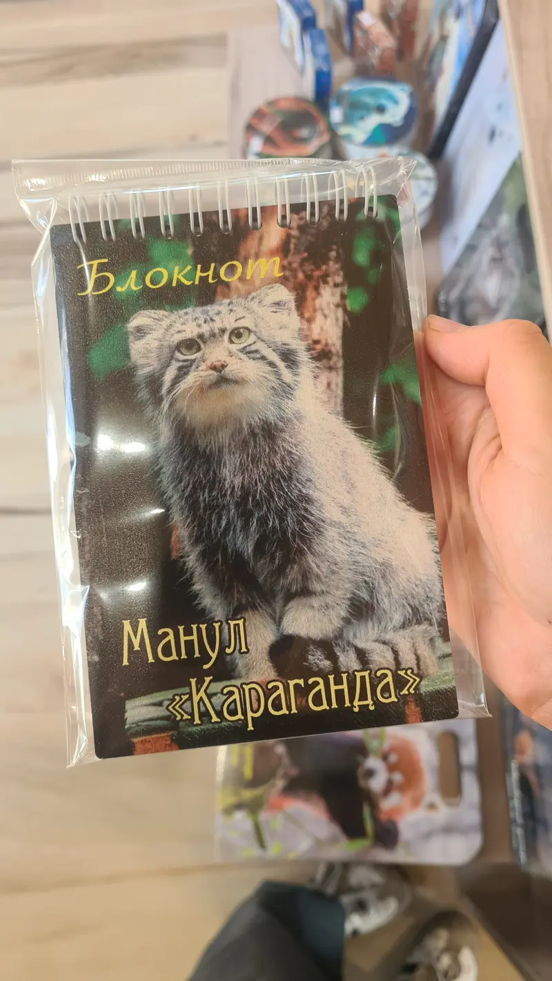 A photograph of a Pallas's cat