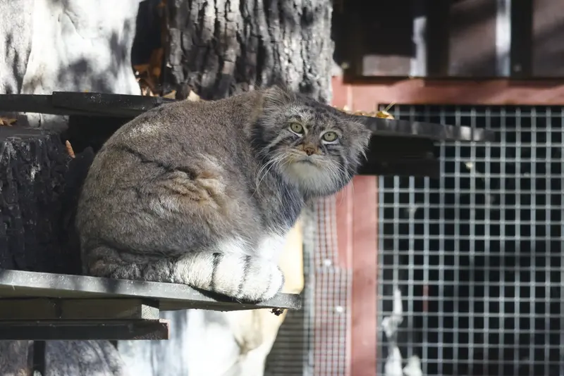 A photograph of Timofey in Moscow zoo