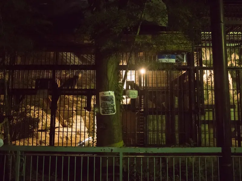 Night Zoo at Nogeyama