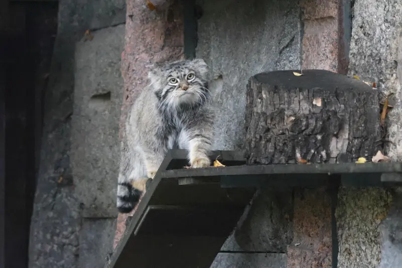 A photograph of Timofey in Moscow zoo