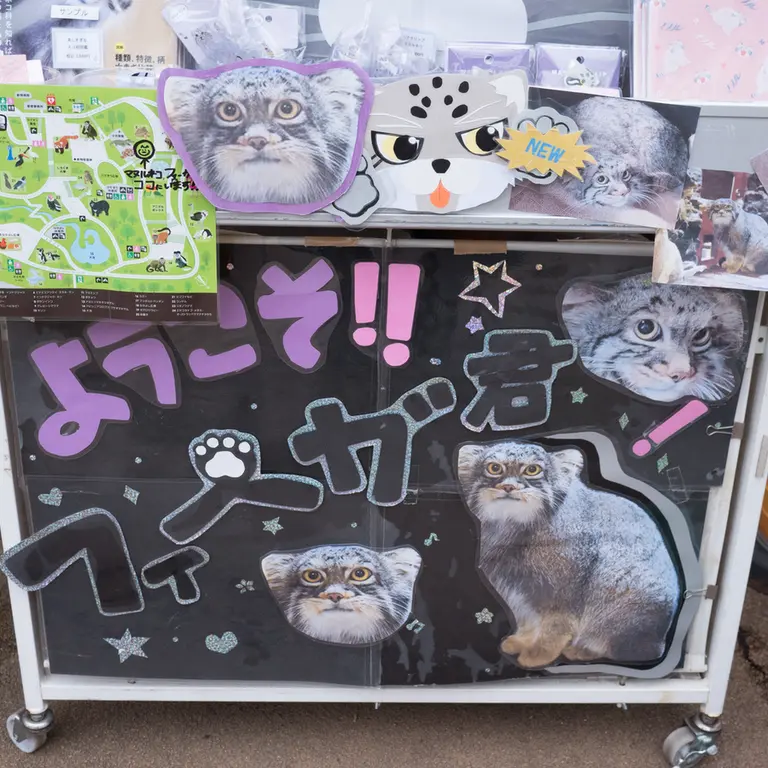 A photograph of Figa in Nogeyama Zoo