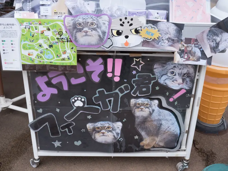 A photograph of Figa in Nogeyama Zoo