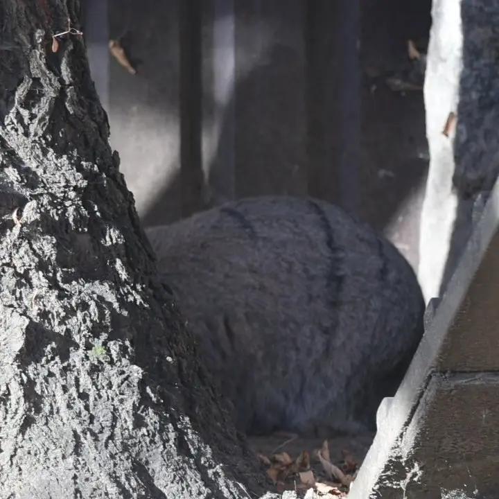 A photograph of Timofey in Moscow zoo