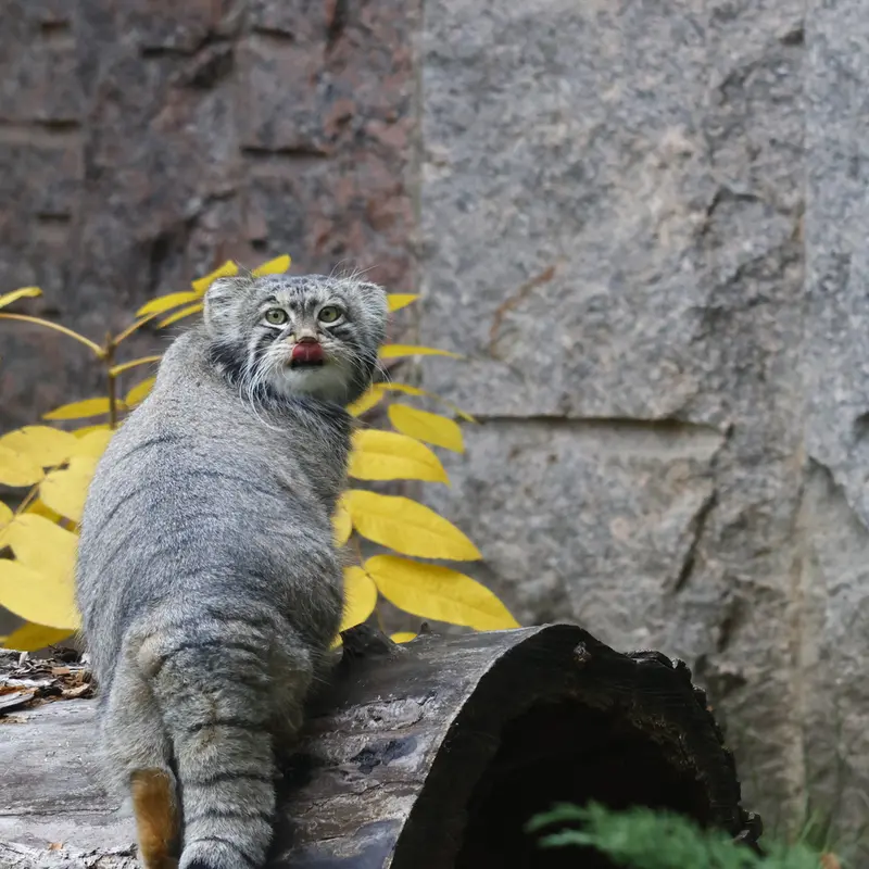 A photograph of Timofey in Moscow zoo